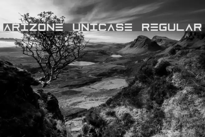 Arizone Unicase Regular Font examples