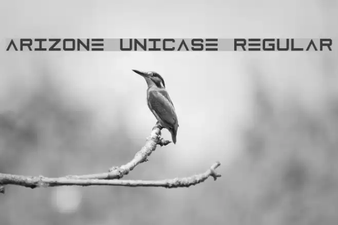 Arizone Unicase Regular Font examples