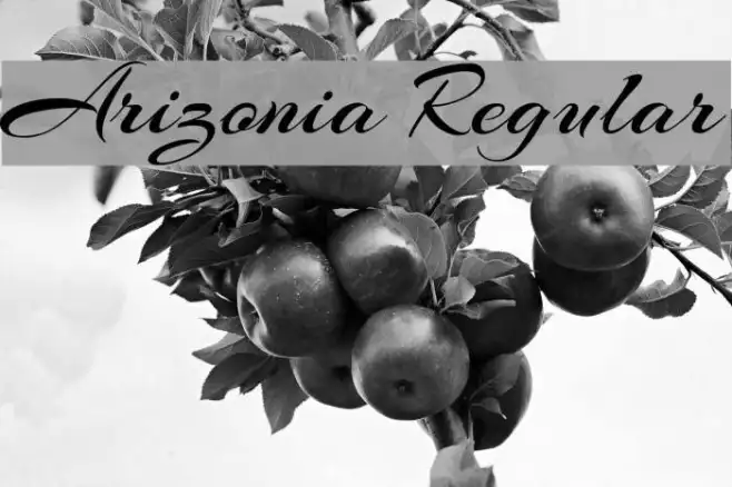 Arizonia Regular Example 1