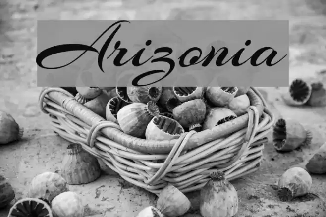 Arizonia Font examples