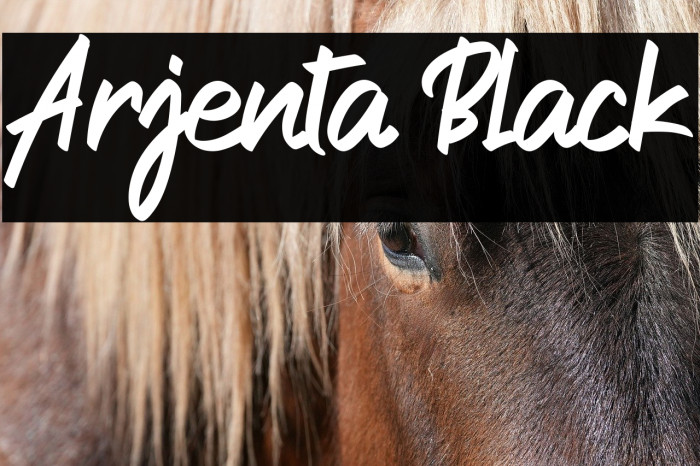 Arjenta Black Example 3