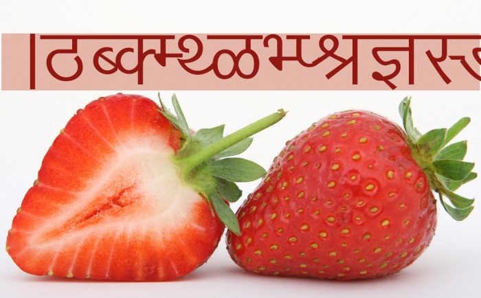 Arjun Font examples