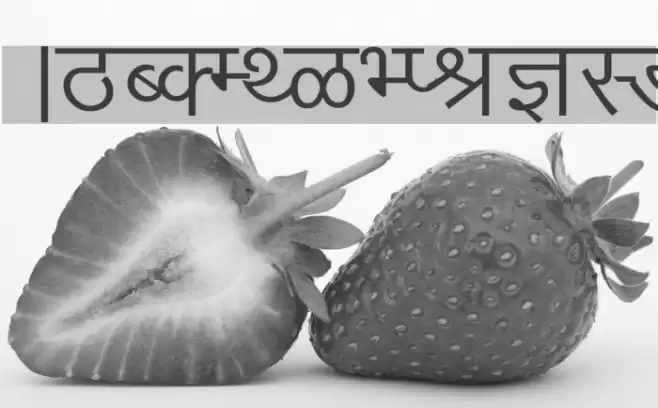 Arjun Fuentes examples