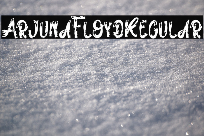 ArjunaFloydRegular Example 1