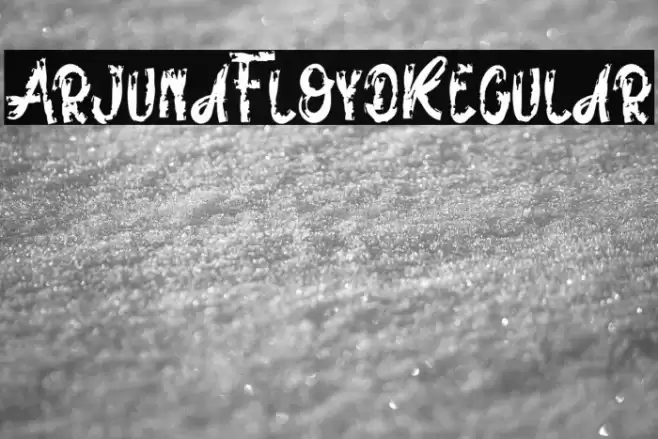 ArjunaFloydRegular Font examples