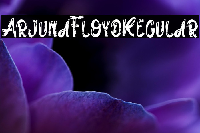 ArjunaFloydRegular Example 2