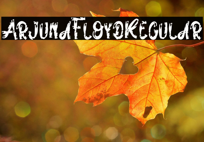 ArjunaFloydRegular Example 3