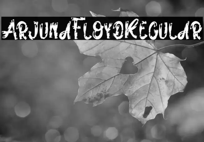 ArjunaFloydRegular Font examples