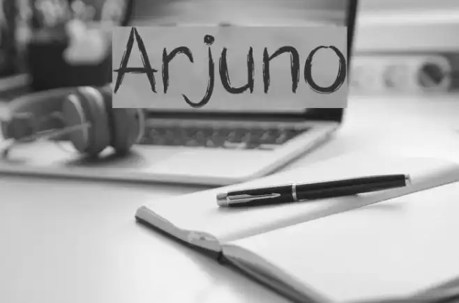 Arjuno Example 1