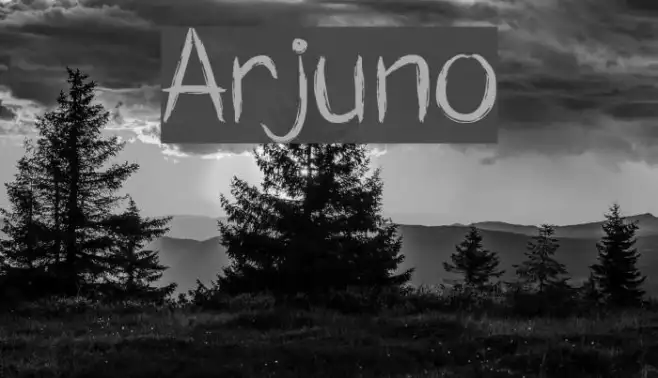 Arjuno Example 2