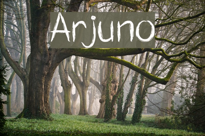 Arjuno Font examples