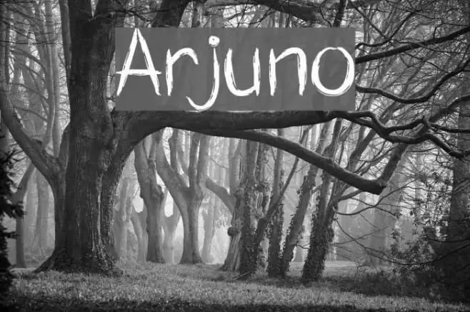 Arjuno Example 3