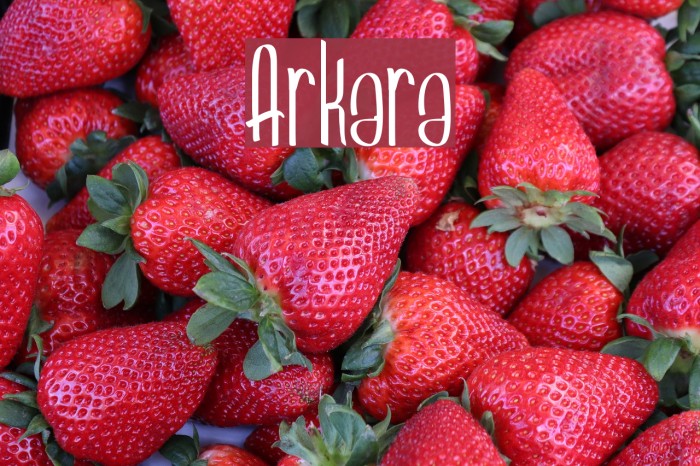 Arkara Font examples