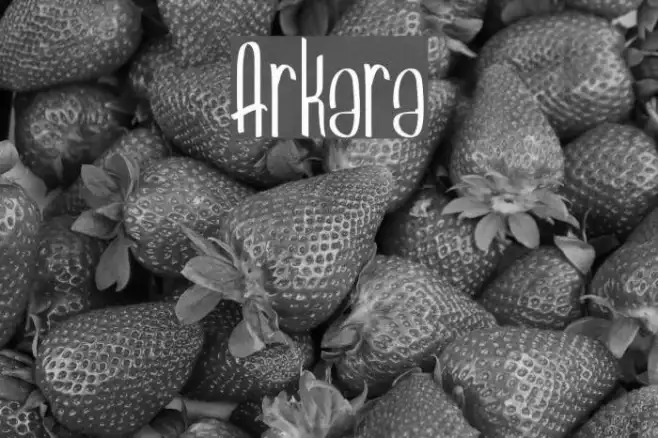 Arkara Example 1