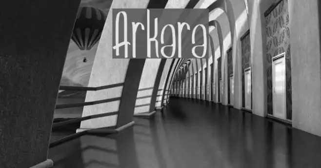Arkara Example 2