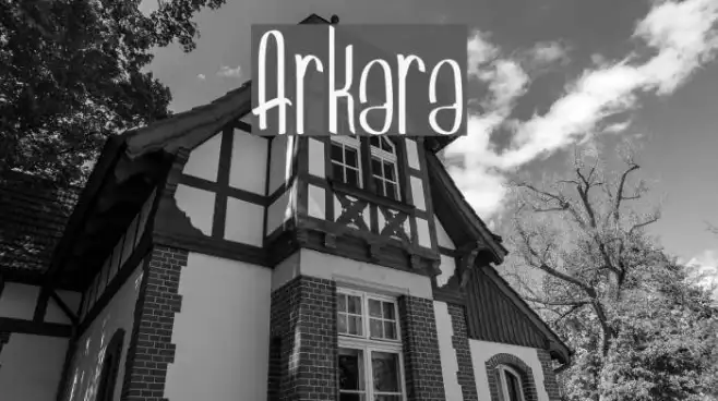 Arkara Example 3