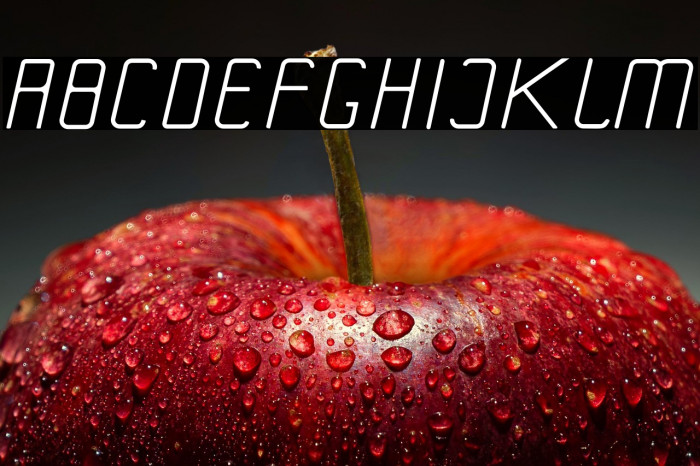 Arkarna - Personal Use Example 1