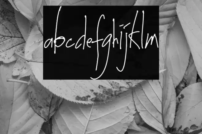 Arkinthor Hands Alternates Light Font examples