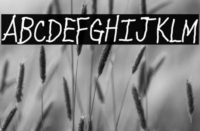 Arkinthor Hands Caps Heavy Font examples