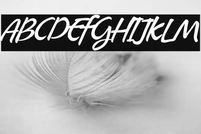 Arkipelago Font examples