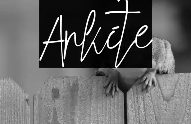 Arkite Font examples