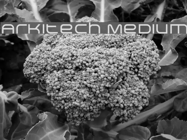 Arkitech Medium Font examples