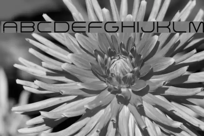 Arkitech Round Light Font examples