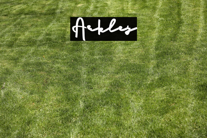 Arkley Caratteri examples