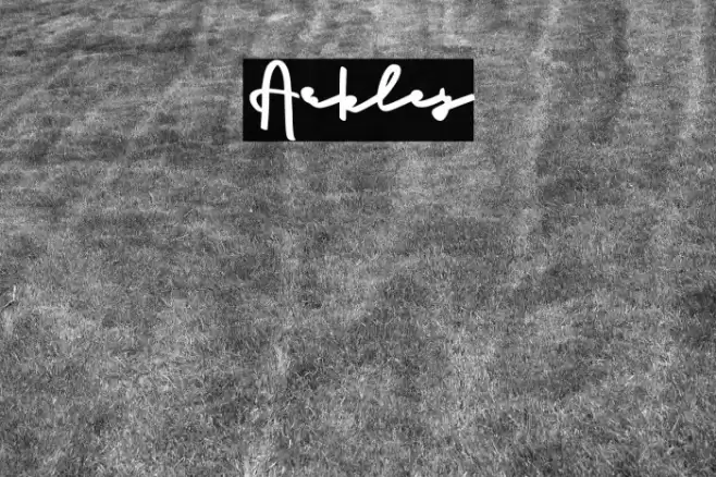 Arkley フォント examples