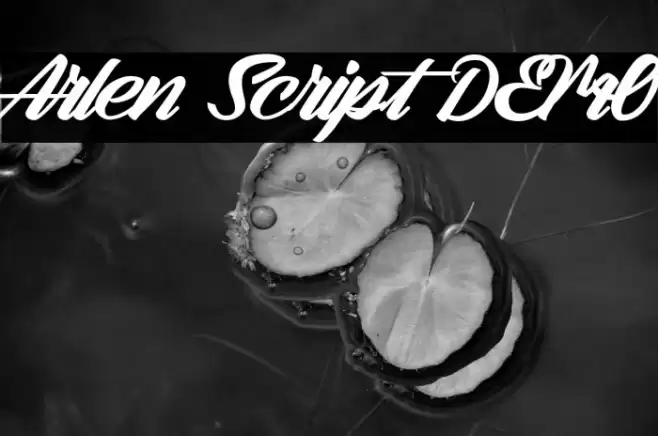 Arlen Script DEMO Font examples