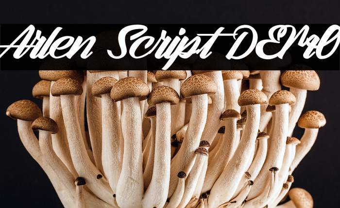 Arlen Script DEMO Example 3