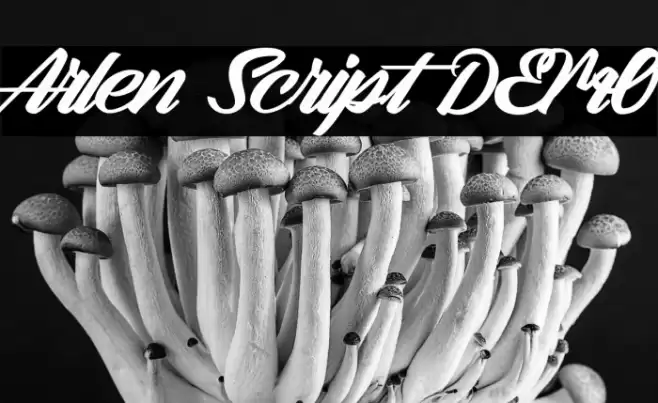 Arlen Script DEMO Font examples
