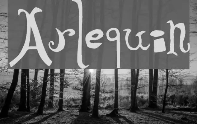 Arlequin Example 2