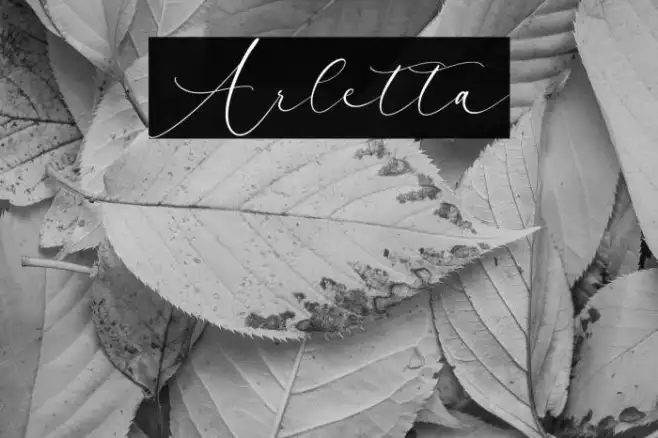 Arletta Example 2