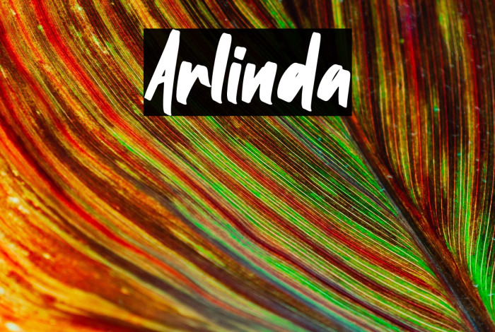 Arlinda Example 1