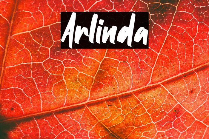 Arlinda Example 3