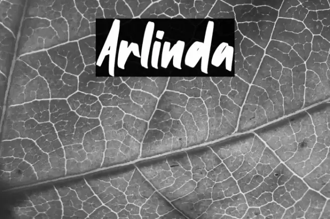 Arlinda Font examples