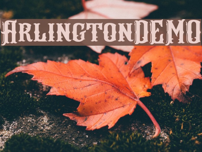 ArlingtonDEMO Font examples