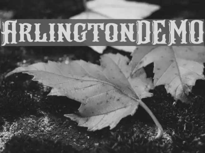 ArlingtonDEMO Fuentes examples