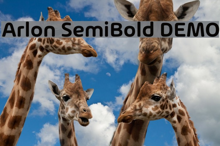Arlon SemiBold DEMO Font examples