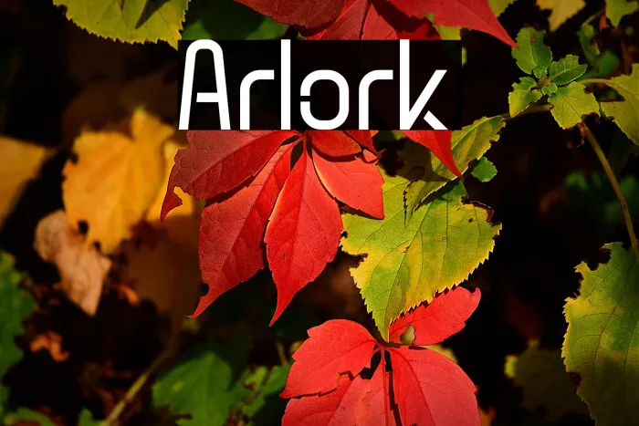 Arlork Example 1
