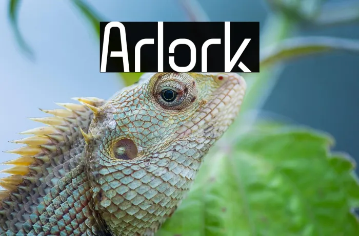 Arlork Example 3