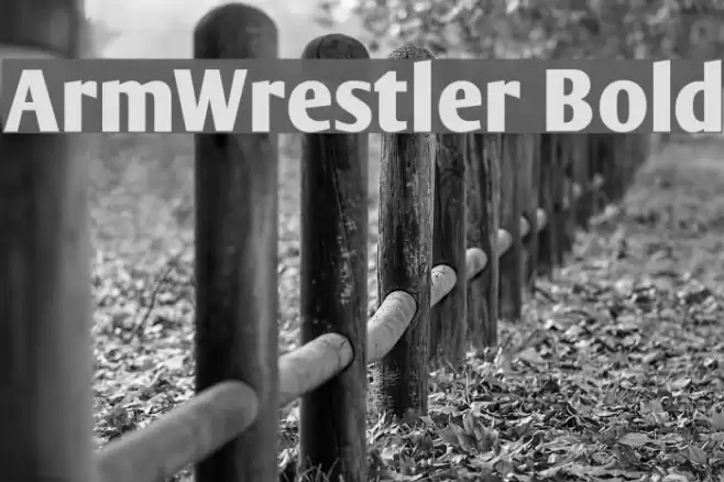ArmWrestler Bold Font examples
