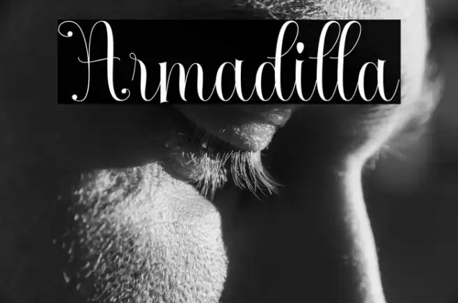 Armadilla Font examples