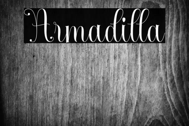 Armadilla Font examples