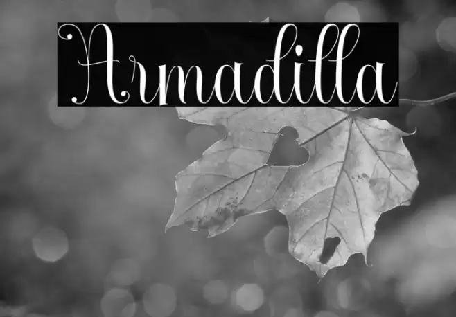 Armadilla Font examples
