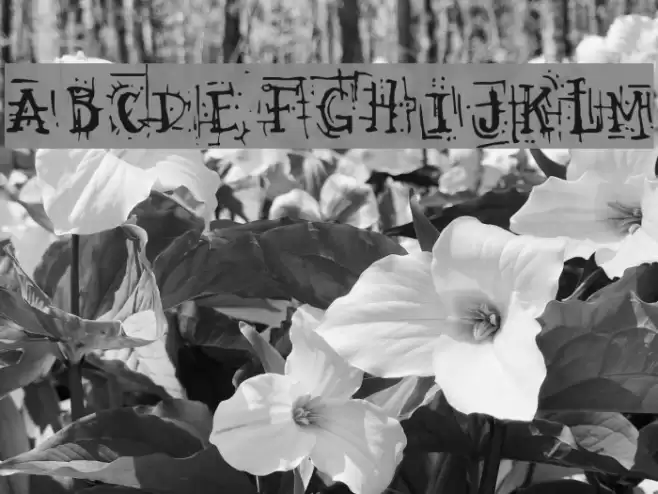 Armaggedon Industrial Font examples