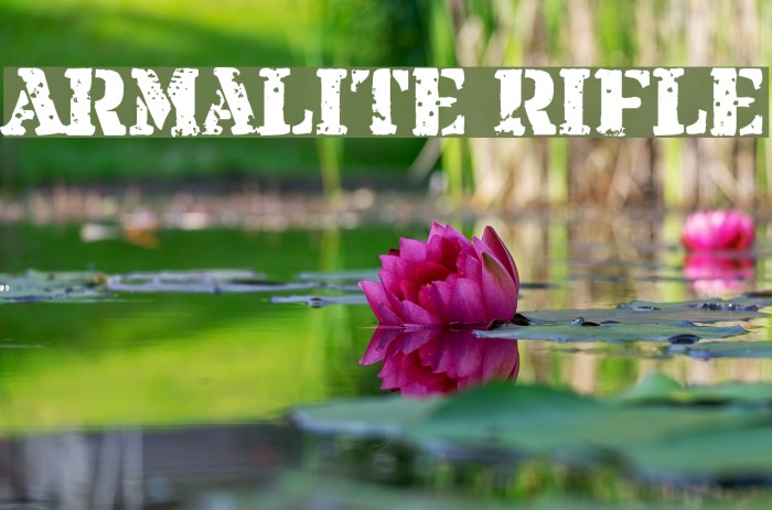 Armalite Rifle Font examples