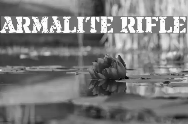 Armalite Rifle Example 2