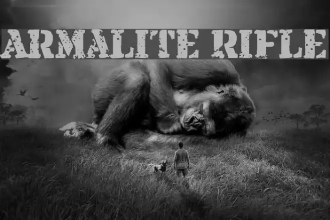 Armalite Rifle Example 3